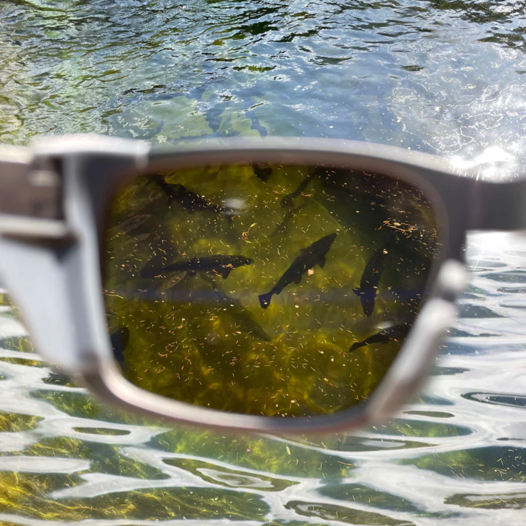 AquaSight Fishing Glasses