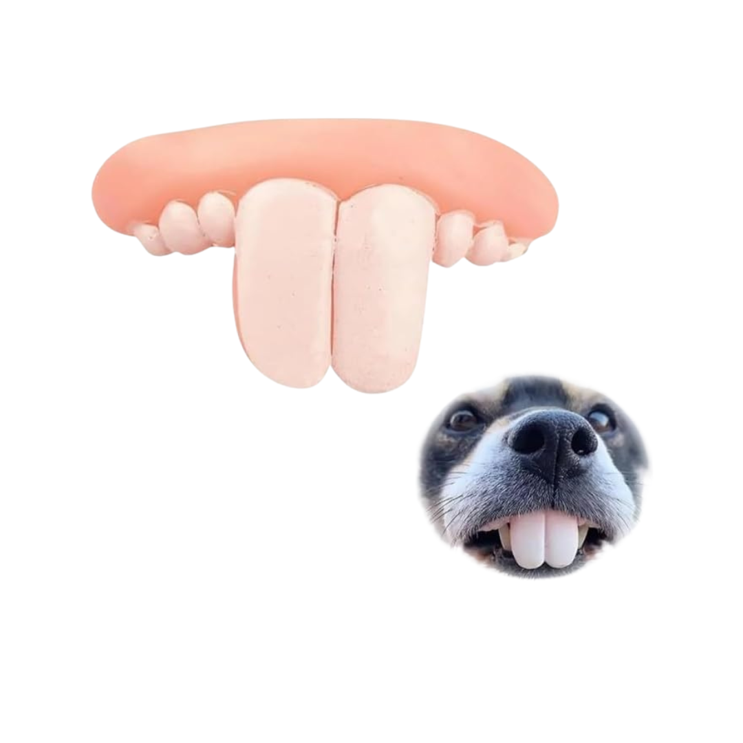 Humorous Dog Teeth Toys