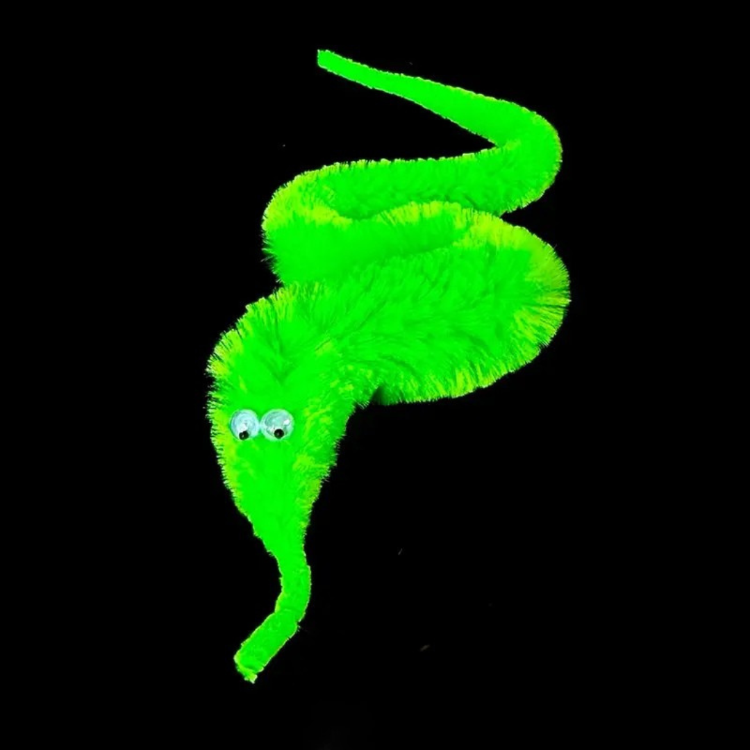 Magic Wonder Worm