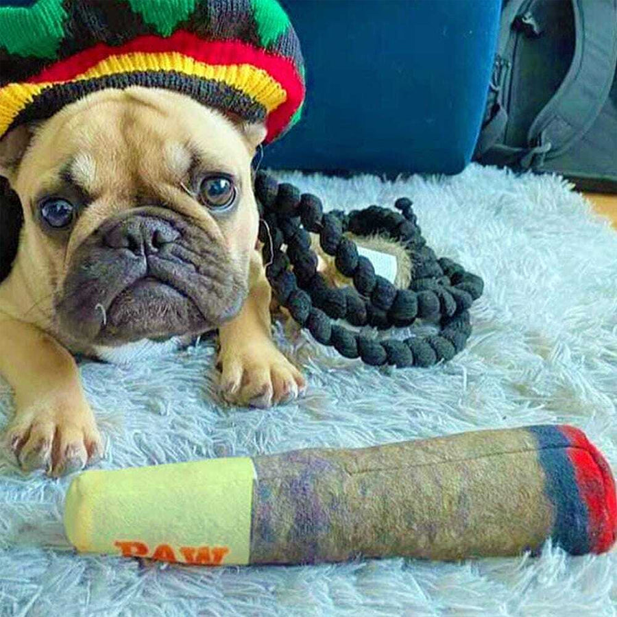 Pup Doobie Toy