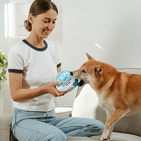 Plush Squeaky and Crinkle Funny Dog Toy