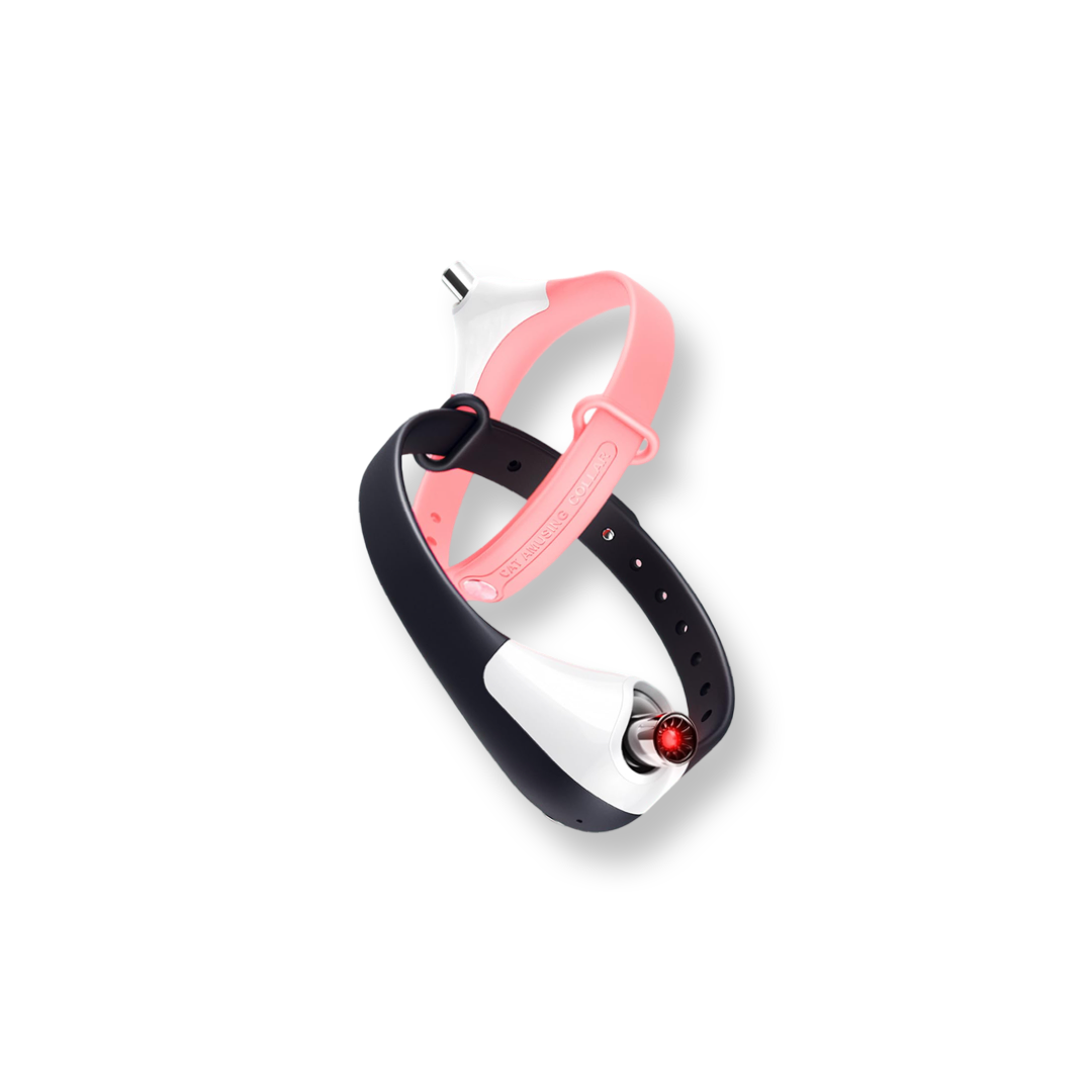 Interactive Laser Collar