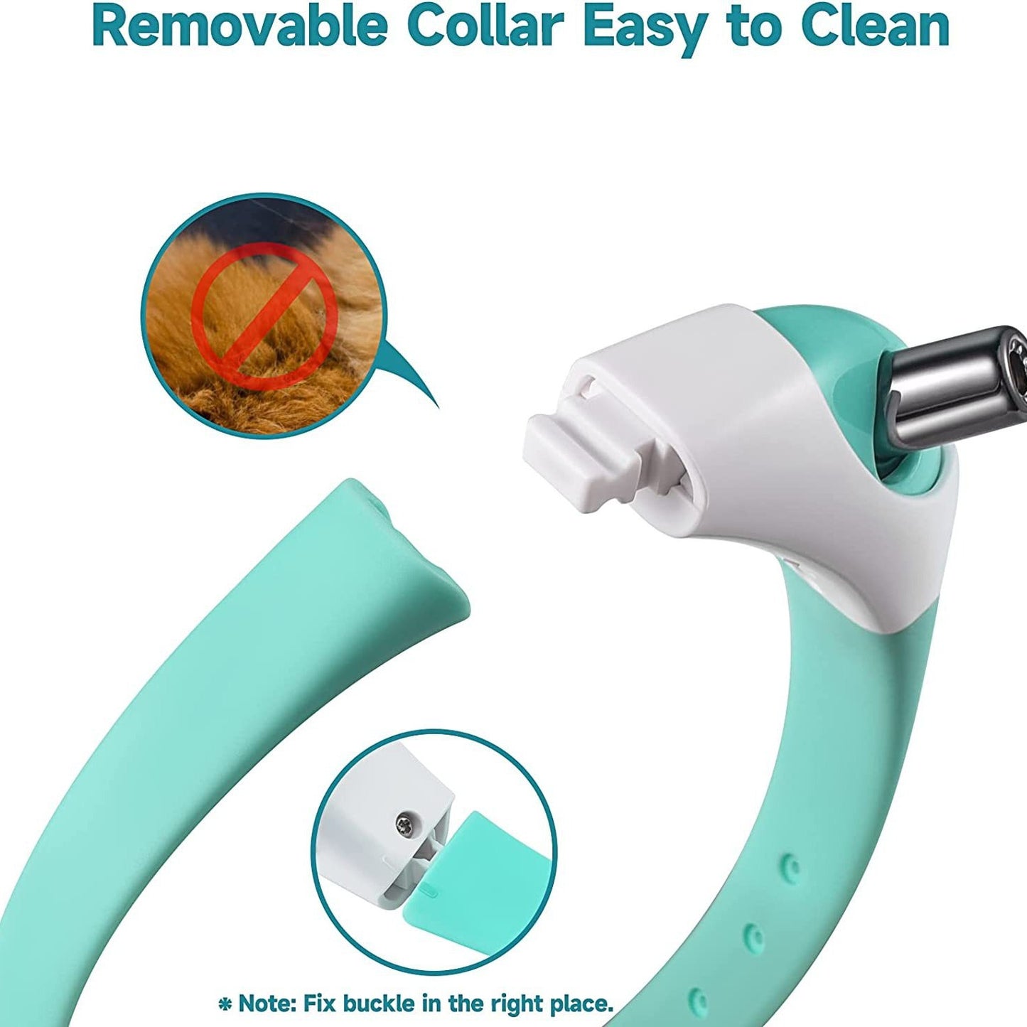 Interactive Laser Collar