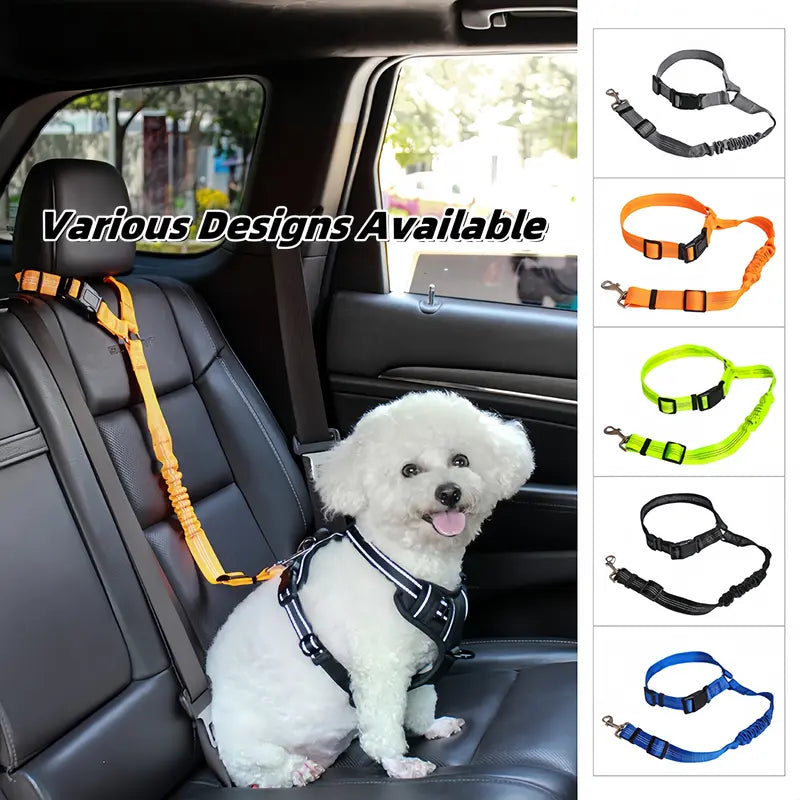Pet Seat Belts