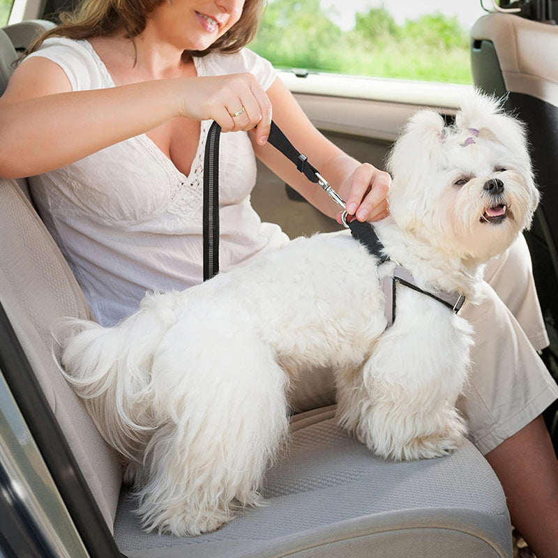 Pet Seat Belts