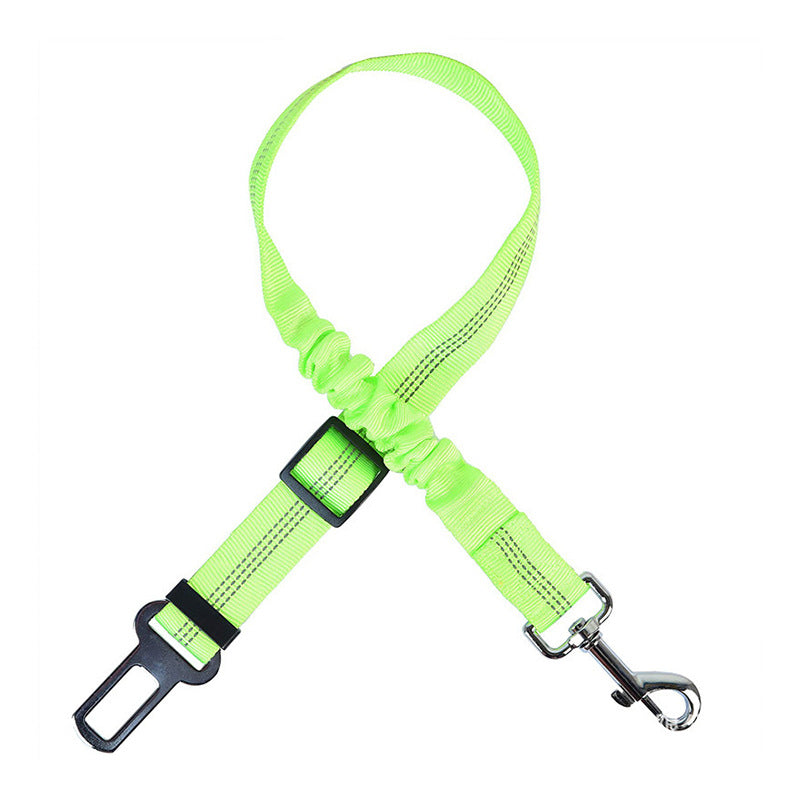 Pet Seat Belts