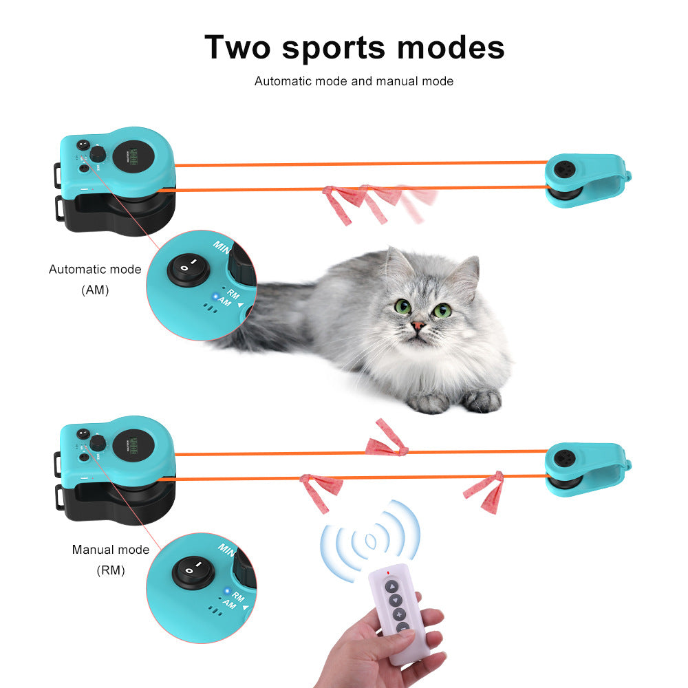 CatChase™