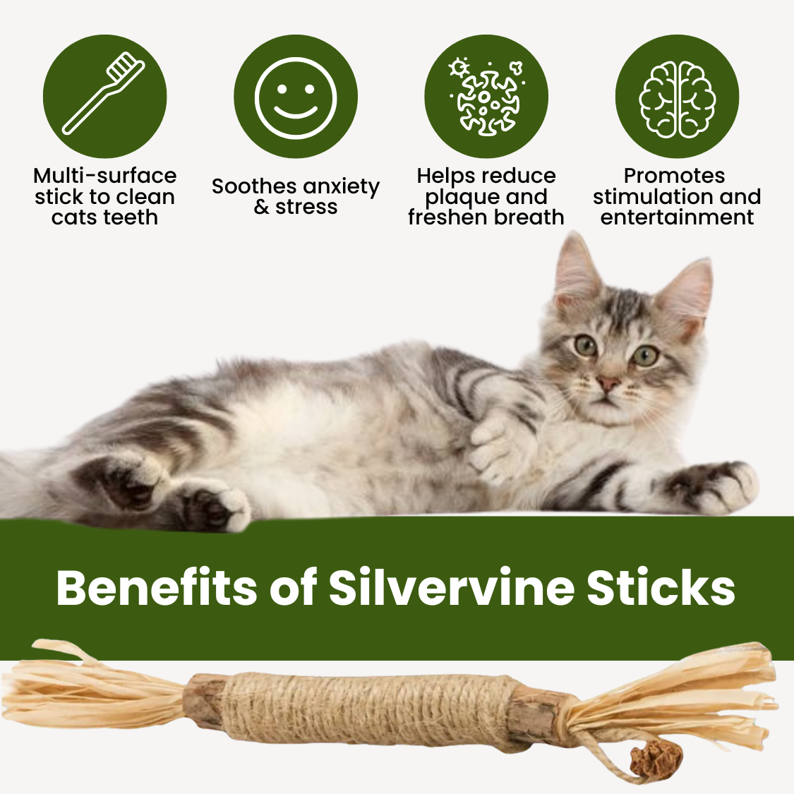 Silvervine Dental Play Sticks