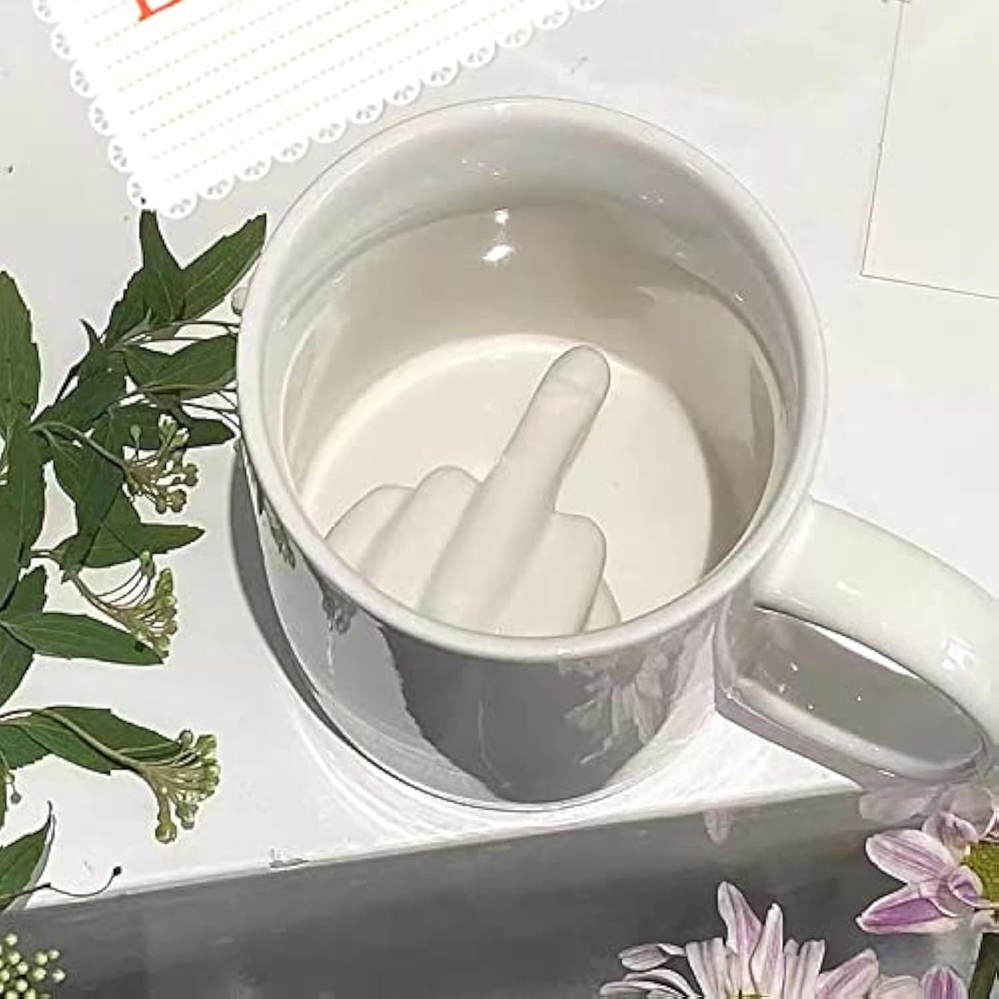 Middle Finger Mug