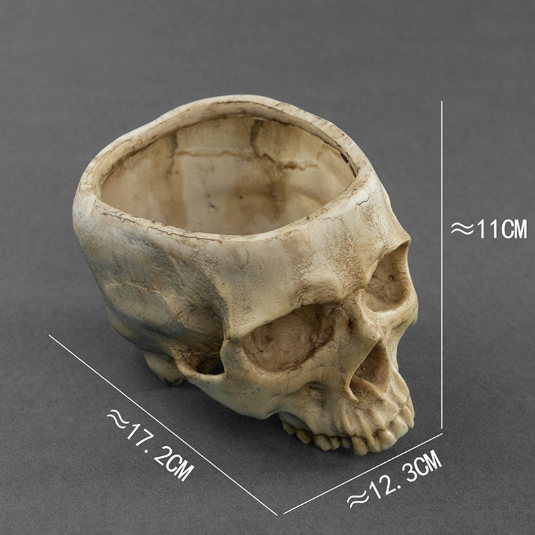 Skull Flower Pot
