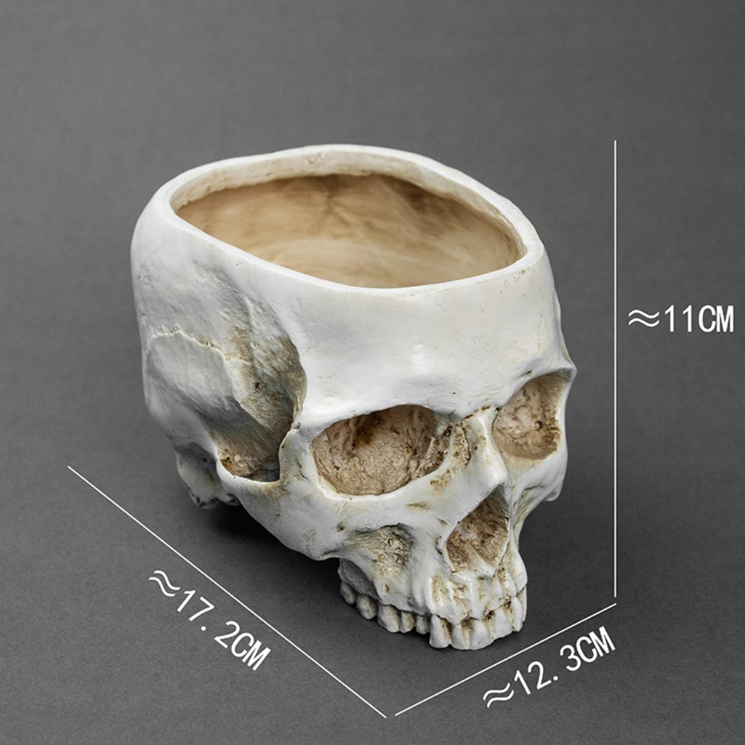Skull Flower Pot