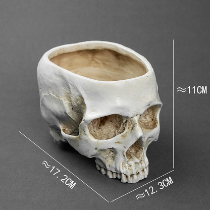 Skull Flower Pot