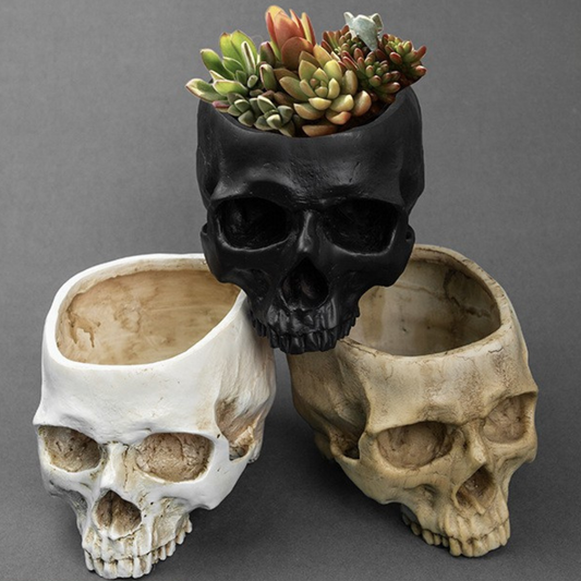 Skull Flower Pot