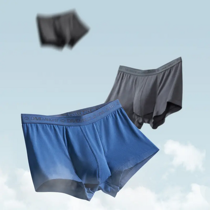 CoreNest™  Men's Underwear