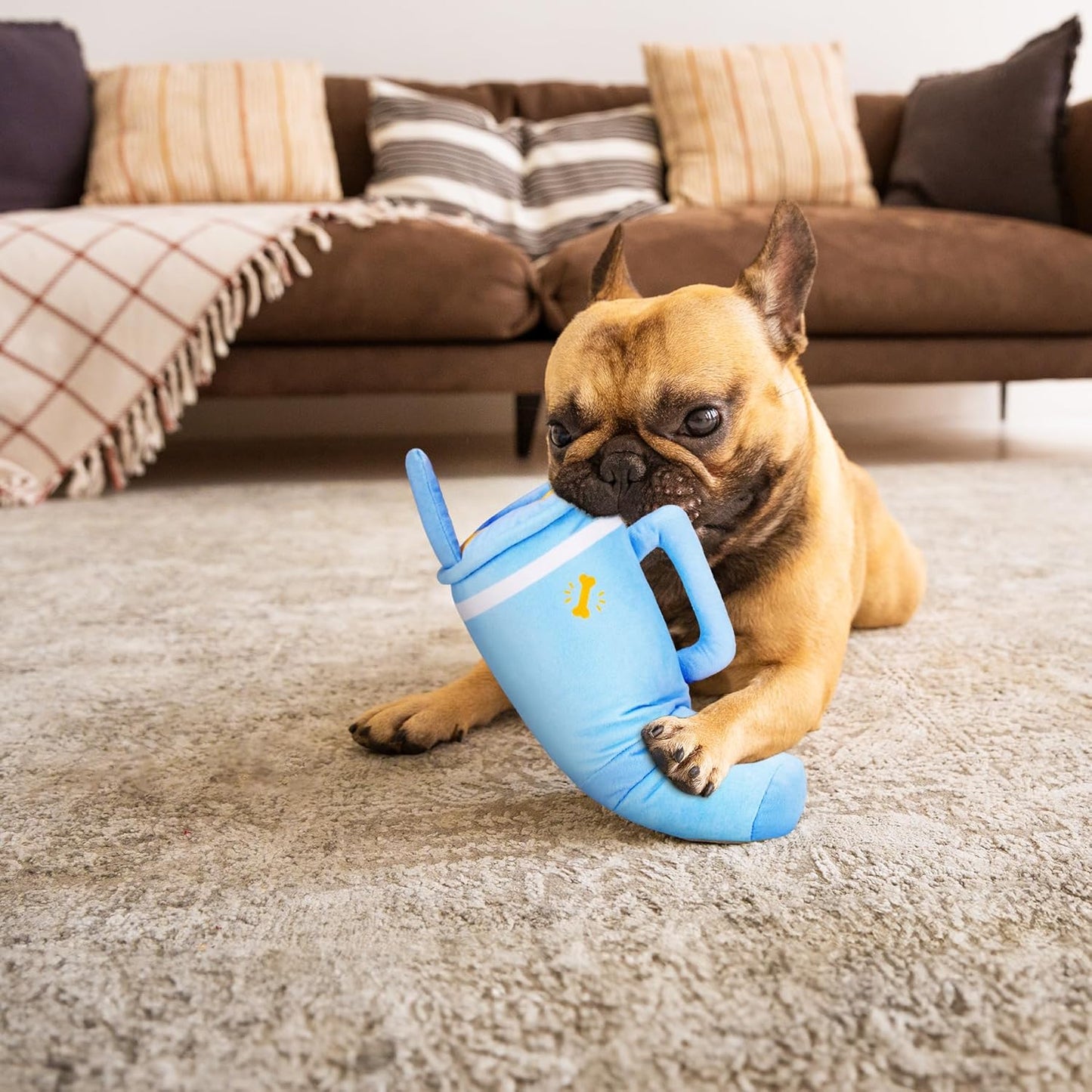 Personalized Cup-Shaped Dog Toy