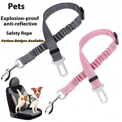 Pet Seat Belts