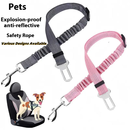 Pet Seat Belts