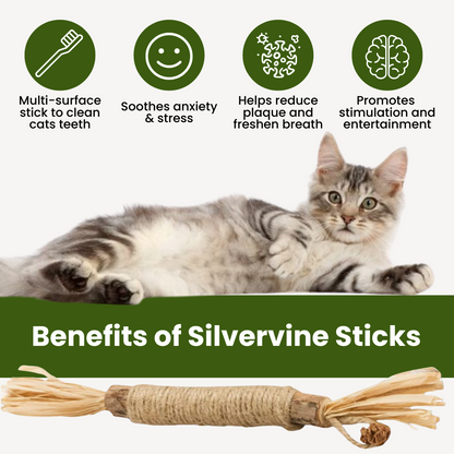 Silvervine Dental Play Sticks