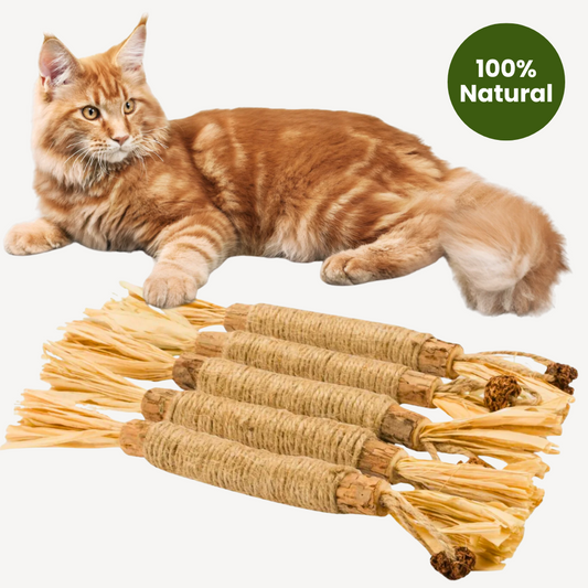 Silvervine Dental Play Sticks