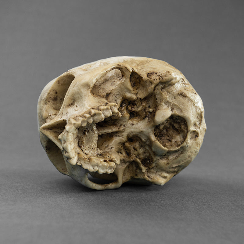 Skull Flower Pot
