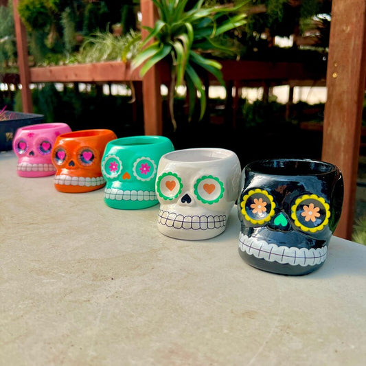 Ceramic Skull Plant Pot