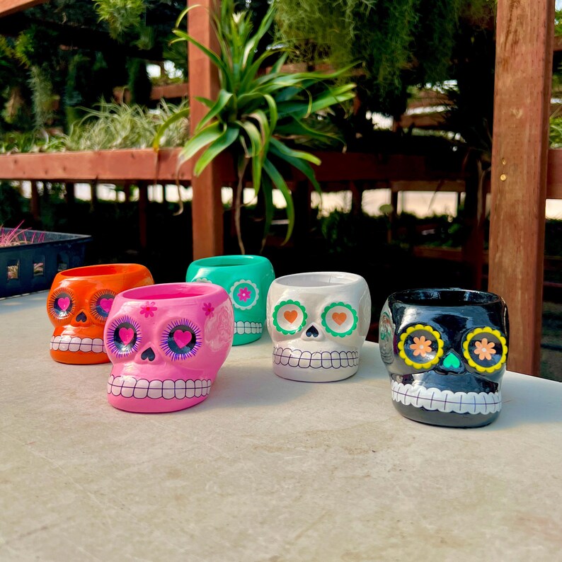 Ceramic Skull Plant Pot