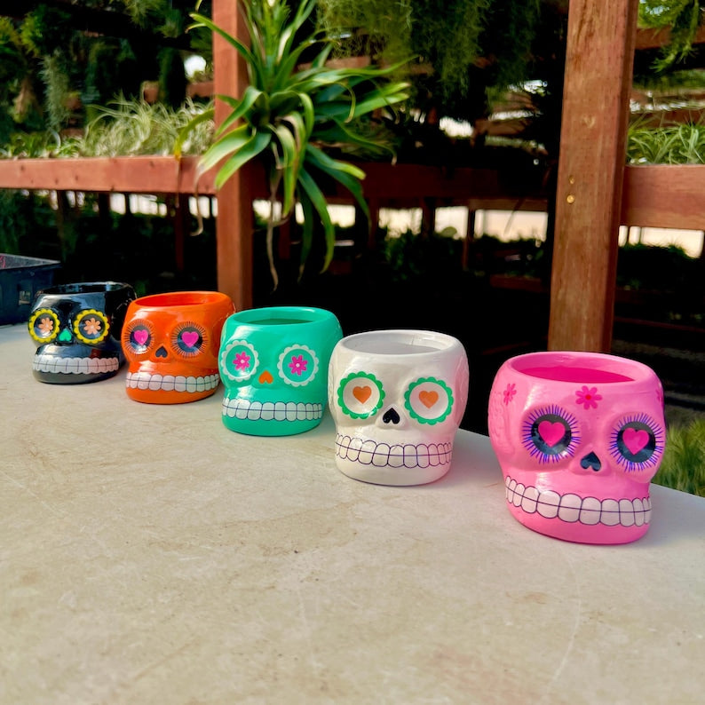 Ceramic Skull Plant Pot