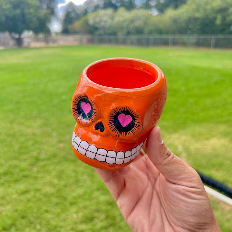 Ceramic Skull Plant Pot