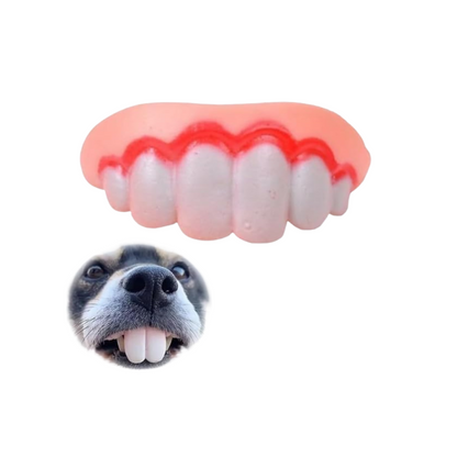 Humorous Dog Teeth Toys