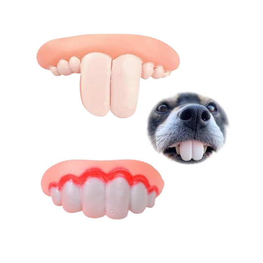 Humorous Dog Teeth Toys