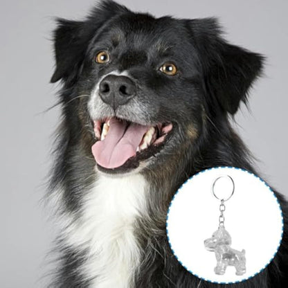 Pet Hair Storage Keyring